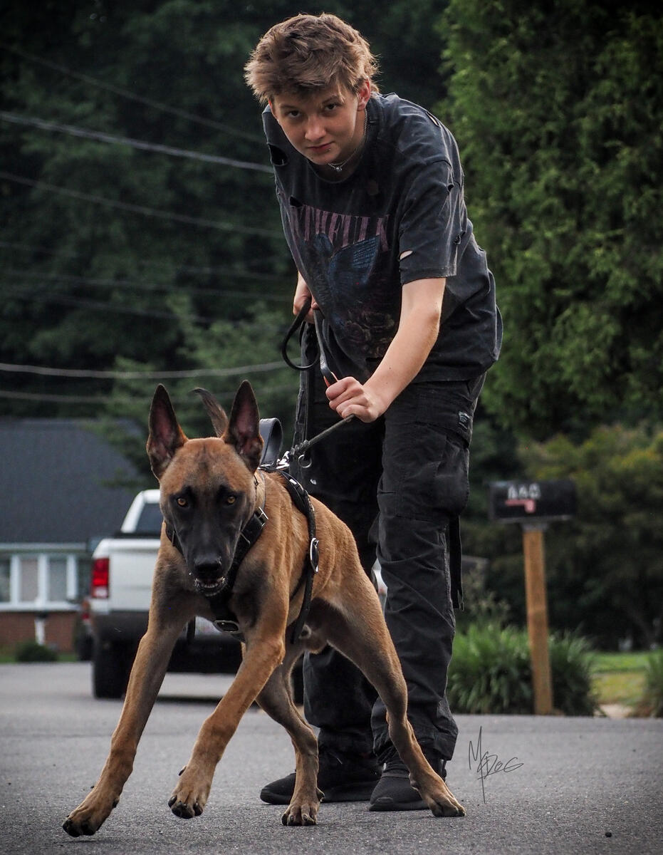 Dog+owner fullbody action shot